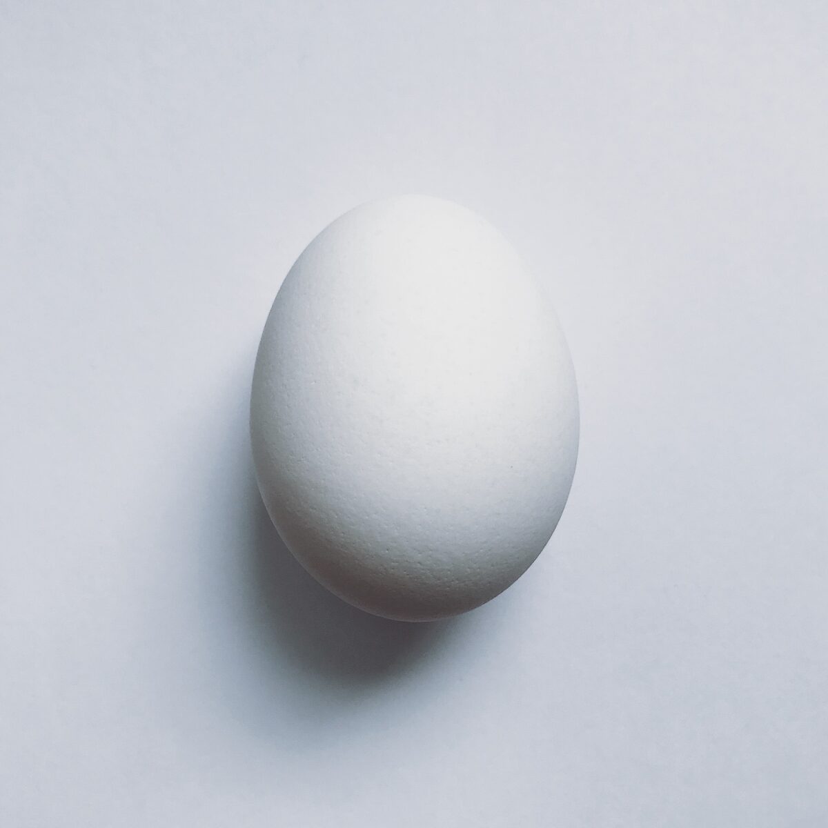 egg-2052398_1920-1200x1200.jpg